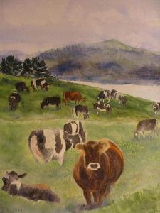 Grazing near Tomales Bay