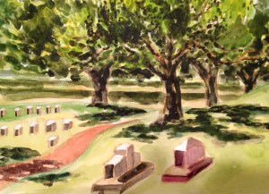 Oaks in the Texas State Cemetery.  Copyright 2013 Robin L. Chandler