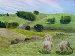 Grazing Sheep north of Point Reyes Station high-noon. Robin L. Chandler Copyright 2015.