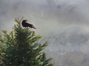 Raven on a misty morning. Robin L. Chandler Copyright 2015.