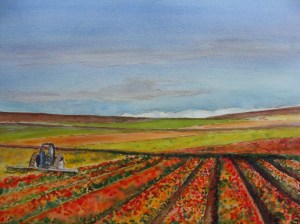 Field of Rainbows. Robin L. Chandler Copyright 2015.