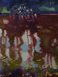 Santa Cruz lagoon. Robin L. Chandler Copyright 2015.