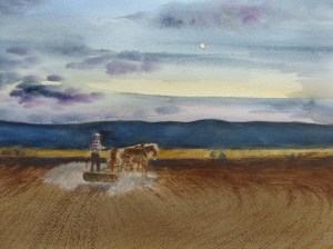 Sowing under the rising moon. Robin L. Chandler Copyright 2015.