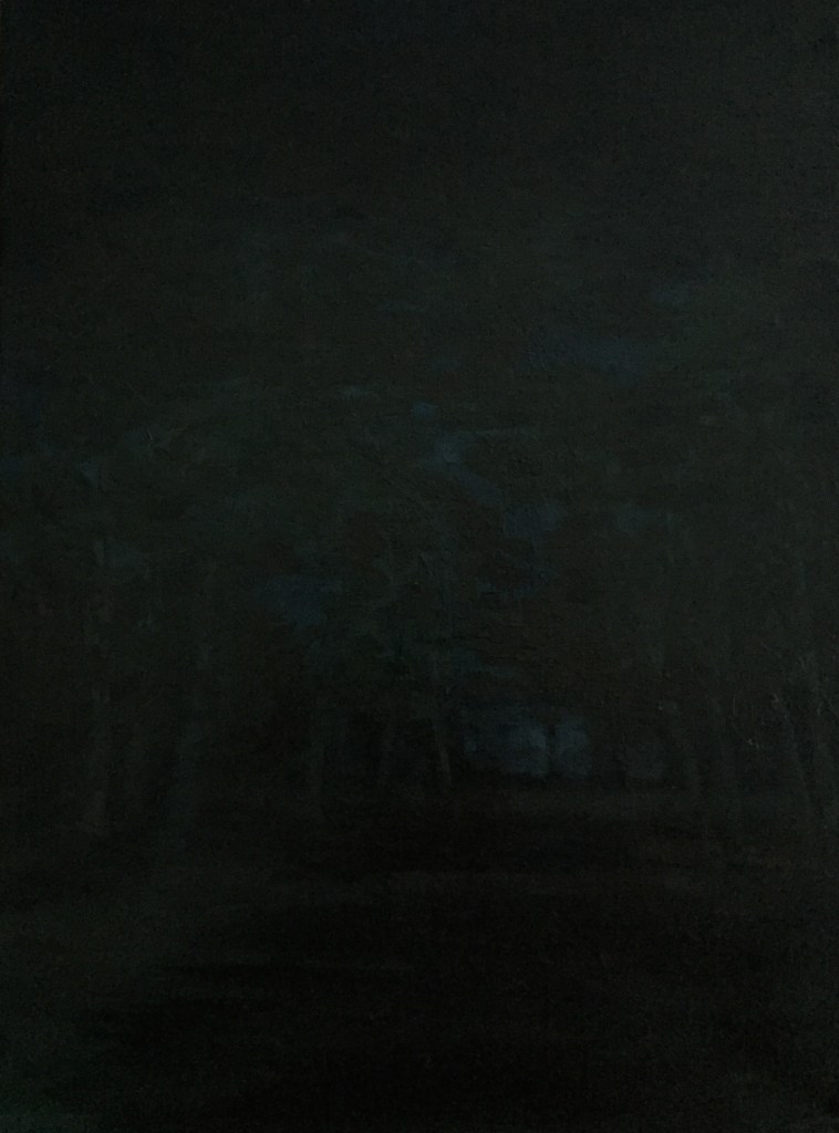 Edge of the void. Robin L. Chandler Copyright 2016.