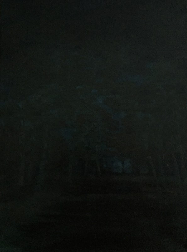 Edge of the void. Robin L. Chandler Copyright 2016.