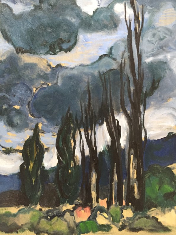 Trees burned by fire in the drought stricken Owens Valley. Robin L. Chandler Copyright 2016. 