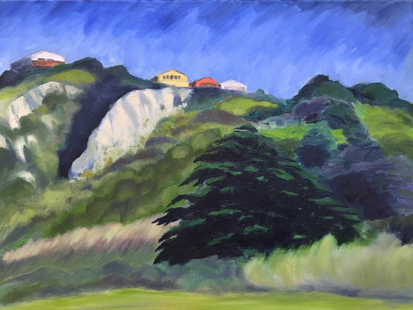 The cliff above Mussel Beach. Robin L. Chandler 2016.