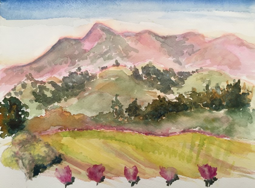 Mt.Saint Helena Spring