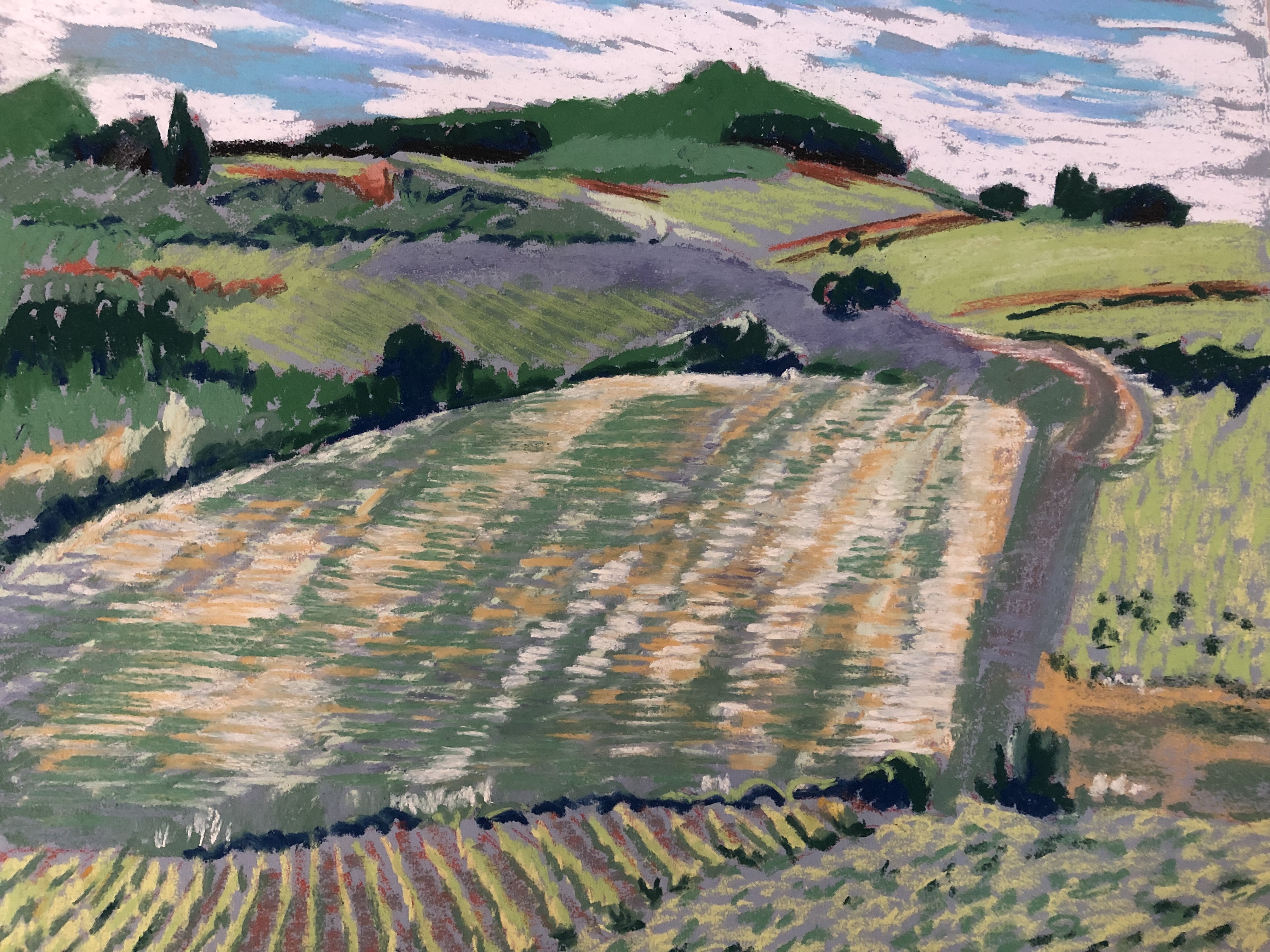 Vineyard in Southern France